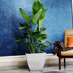 Macetas <span class=keywords><strong>de</strong></span> plástico <span class=keywords><strong>para</strong></span> decoración <span class=keywords><strong>de</strong></span> jardín al aire libre, 21 pulgadas, gran tamaño, <span class=keywords><strong>pintura</strong></span> en aerosol, <span class=keywords><strong>para</strong></span> <span class=keywords><strong>interior</strong></span> - Product Image 2