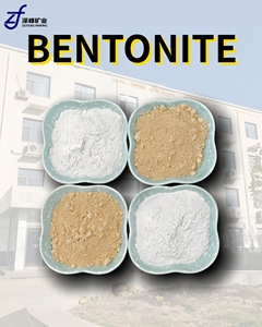 ZF ZF-31 Hebei Industrial 100% Bentonite Montmorillonite, argile pour forage, construction, céramique et traitement des eaux usées - Product Image 6