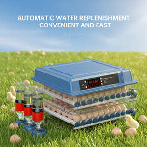 Оптовая продажа: Новейший инкубатор на 300 яиц, полностью автоматическая машина для выведения цыплят - Product Image 1