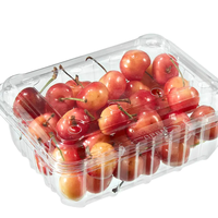 Récipient à salade de fruits en plastique alimentaire OEM PET jetable de haute qualité chinois
