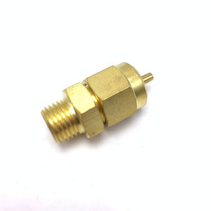 Válvula Reductora de Presión Sanremo de 3/8 Pulgadas, Válvula de Vacío para Vapor de Alta Temperatura para Caldera de Cafetera - Product Image 4
