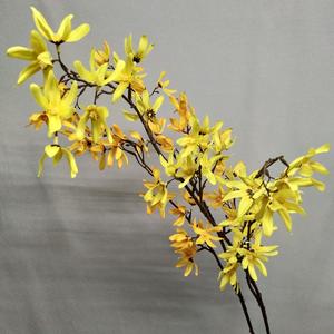Hesper Vente en gros Événement de mariage <span class=keywords><strong>D</strong></span>écoratif Soie Jaune Orange <span class=keywords><strong>Forsythia</strong></span> Fleurs Tiges <span class=keywords><strong>Forsythia</strong></span> Branches <span class=keywords><strong>Forsythia</strong></span> Artificielle - Product Image 6