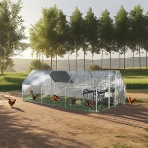 Pollaio Esterno in Acciaio Zincato di Alta Qualità, Facile da Montare e Durevole, con Recinto - Product Image 6
