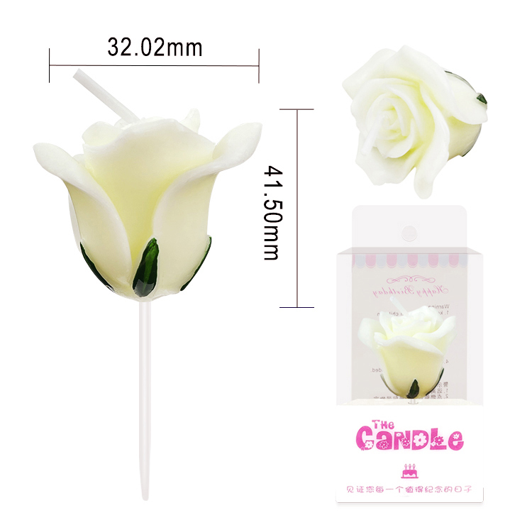 Rose flower