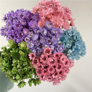 LUYI - Vente en gros de petites fleurs séchées naturelles brésiliennes (étoiles et mini marguerites) pour la Fête des Mères et Noël - Product Image 1