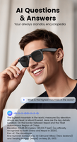Gafas Inteligentes 1300w de 2.ª Generación, Gafas Multifuncionales con Cámara HD Integrada, Audio Inalámbrico, Chat Multilingüe, Gafas Meta para Exteriores