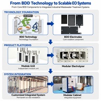 BDD Fortschrittlicher Oxidationsprozess Niob-Substrat-Modul-Einheit Maßgefertigter Elektrolyseur Industrielles Abwassersystem