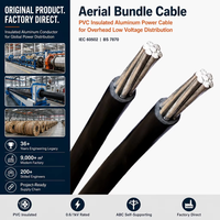 Luftkabelbündel PVC-Isoliertes ABC-Kabel Aluminium-Stromkabel Freileitungskabel Niederspannungsverteilung 0,6/1kV