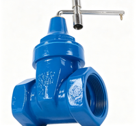 Vanne à opercule à joint souple, manuelle, avec verrouillage antivol crypté, raccord fileté pour entrée de compteur, PN10, OEM disponible, 2 à 12 pouces, pour alimentation en eau