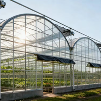 Serre Multispan à bas prix pour toutes sortes de plantes Serre personnalisée Cadre en acier galvanisé à chaud pour légumes