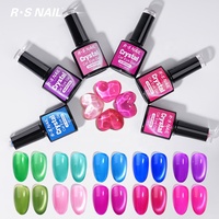 R S Nail OEM/ODM Crystal Cat Eye Gel Vernis à ongles magnétique en gel en gros pour salon de manucure