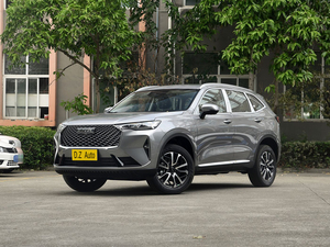 2025rhd Harvard 4x4 đô thị off-road xe năng lượng mới Xe sản xuất tại Trung Quốc tay lái bên phải - Product Image 2