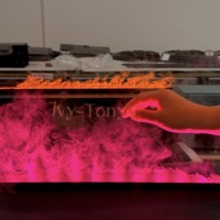 Chimenea Eléctrica de Vapor de Agua Personalizada de Tamaño Pequeño (40, 50, 60 cm) con Control Remoto por Aplicación y Efecto 3D