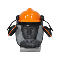 Casque de sécurité industriel forestier avec écran facial et visière en maille de fer en PE JKT HS3025-A