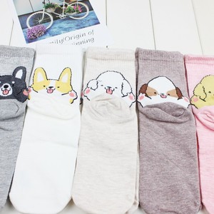 <span class=keywords><strong>Chaussettes</strong></span> en coton à motif chien <span class=keywords><strong>Corgi</strong></span> coréen mignon pour femme, motif animal de dessin animé amusant, respirantes, tricotées, pour l'automne, vente en gros - Product Image 2