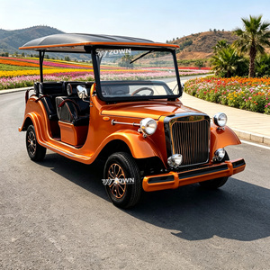 Voiture électrique vintage au design européen classique, durable, pour le transport touristique en zone panoramique, meilleure qualité, 4 roues ZOWN - Product Image 1