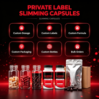 Capsules de soutien métabolique à base de plantes pour l'équilibre corporel et la gestion saine du poids, 60 gélules, supplément OEM sous marque privée