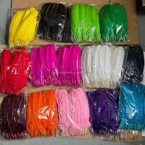 Bán Buôn 25-30 Cm Thổ Nhĩ Kỳ Quill Lông Cho Carnaval Samba Khiêu Vũ Trang Phục Mũ Ba Lô - Product Image 1