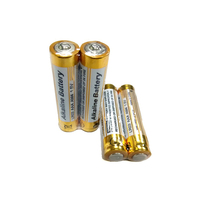 Pile alcaline (LR03) 1,5 V sèche pour jouets d'enfants, climatiseurs, télécommandes de télévision et souris d'ordinateur
