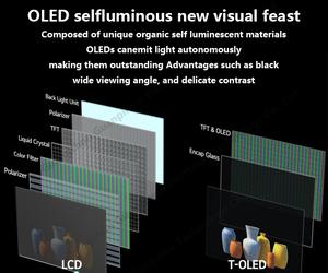 Pantalla Táctil Interactiva OLED Transparente de 48, 55 y 77 Pulgadas, para Señalización Digital en Restaurantes y Bares de Alta Gama - Product Image 5
