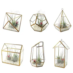 2019 Nieuwe Producten Glas Decoratieve Gouden Geometrische Glas Terrarium Groothandel