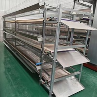 Cage à poules de type H avec système de nettoyage manuel du fumier par manivelle pour élevage avicole
