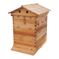 Neues Witbee Wachsbeschichtetes Automatisches Selbstfließendes Bienenstock-Set, 7 Rahmen, 10 Langstroth-Rahmen, 20mm Dicke, Einfach zu Bedienende Imkerei-Ausrüstung
