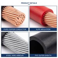 Câble d'alimentation basse tension blindé 4 1 5 conducteurs 25mm2 35mm2 50mm2 isolé XLPE gaine PVC norme CE IEC 0.6/1kV