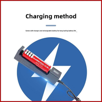 Outils d'entraînement visuel, ophtalmologie, lampe à clip rechargeable rouge/verte à quatre trous pour le contrôle de la vue