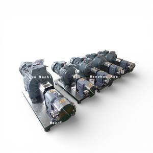 ปั๊มโรเตอร์แบบผีเสื้อสเตนเลส Ace สำหรับการถ่ายโอนน้ำผลไม้ - Product Image 3