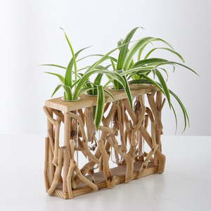 Drijfhout Kunst Drijfhout Ornamenten Handgemaakte Houten Splitsing Ambachten Geen Poreuze Glazen Hydrocultuur Vaas Hydrocultuur Plant Stand - Product Image 3