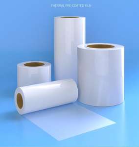 Rouleau de <span class=keywords><strong>film</strong></span> pochoir en PET rigide translucide Mylar vierge, durable et réutilisable, 190 microns, pour pochoirs DIY, peinture murale et pochoirs pour carrelage - Product Image 3