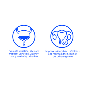 Suplementos para Perros Aprobados por Veterinarios, Suplemento Alimenticio Masticable Suave para Infecciones del Tracto Urinario y para Eliminar la Calor y la Humedad - Product Image 2