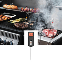 Thermomètre numérique pour aliments Hypersynes MiniX2, batterie rechargeable, application graphique de température, utilisation pour barbecue, prise en charge personnalisée OEM/ODM