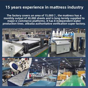 Économique 1.5m 20cm Design moderne coussin <span class=keywords><strong>en</strong></span> latex de cocotier mousse rafraîchissante <span class=keywords><strong>matelas</strong></span> à ressorts à double usage pour le loyer du salon - Product Image 4