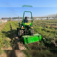 Mini Tractor Agrícola Compacto de 14HP, de Cuatro Ruedas, para Agricultura, Pequeño Trattorino Tagliaerba