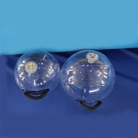 Ballon aquatique gonflable en PVC pour fitness, équipement de gym portable, prix usine OEM