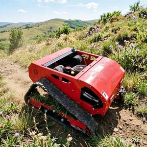 เครื่องตัดหญ้าขนาดเล็กขายดี คุณภาพสูง เครื่องตัดหญ้าแบบ Zero Turn มีจำหน่าย - Product Image 4