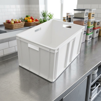 Caixa Plástica Grande de HDPE LAR CAS2050 58L, Empilhável, para Logística de Alimentos