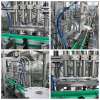 Équipement de remplissage linéaire haute efficacité 20-40 bouteilles/minute pour le remplissage d'eau, de jus, de vinaigre et de lait en bouteilles de 250 ml et 500 ml