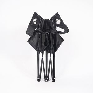 Modern Design Folding Camp <b>Chair</b> Tilting Carrying Features for Outdoor Camping <b>Beach</b> BBQ Park Use Stainless Steel Frame for 2 - Product Image 4