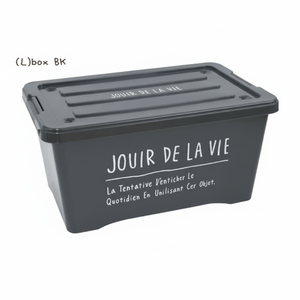 BLK Days Stock Living Boxes Caja de almacenamiento negra elegante - Product Image 1