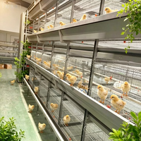 Nouvelle cage à poules pondeuses en batterie, 3 niveaux, type H, en acier, cage avicole automatique pour la production commerciale d'œufs