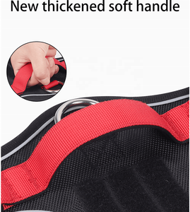 कोई पुल चिंतनशील समायोज्य चिंतनशील कुत्ता बनियान एयरटैग केस 1680 डी ऑक्सफर्ड नेफ्रोन कुत्ते का दोहन - Product Image 5