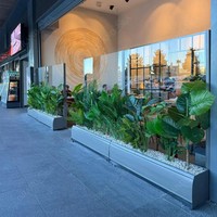 Jardinière métallique intégrée à levage hydraulique pour balustrade en verre, réglable automatiquement en hauteur, pour projets de terrasses de restaurants extérieurs
