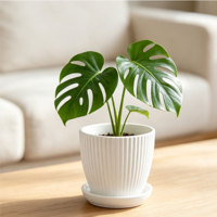 Petit pot de fleurs circulaire moderne en PP avec trous de drainage et plateau – Durable, capacité de 0,61 L, idéal pour la maison, le bureau, le sol, la terrasse, pour les plantes succulentes
