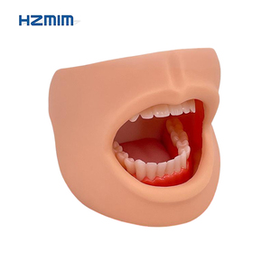 Modello di cure dentistiche con guancia modello di scheletro in PVC anatomico per l'insegnamento medico e le scuole strumento di istruzione di scienza medica - Product Image 4