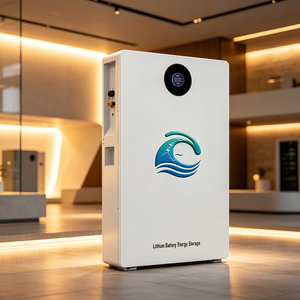 Sistema de Almacenamiento de Energía Doméstico Personalizado de 5Kw 10Kw Serie EOS LiFePO4 con Batería de Iones de Litio de 5Kwh y BMS Todo en Uno - Product Image 6