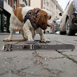 <span class=keywords><strong>Collar</strong></span> de perro grande de lujo con mango en D, correa de cuero resistente para mascotas, patrón de impresión y características personalizadas - Product Image 5