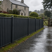 Panneaux de clôture d'intimité en acier prépeint de qualité supérieure pour la protection des jardins, pelouses et patios extérieurs des maisons modernes